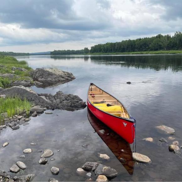 Meet your Posher, Dave - Picture 1 of 1